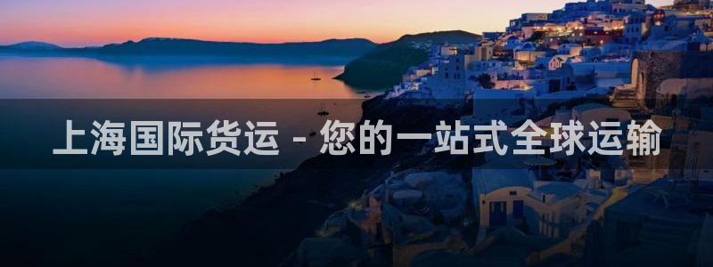 尊龙电子：上海国际货运 - 您的一站式全球运输