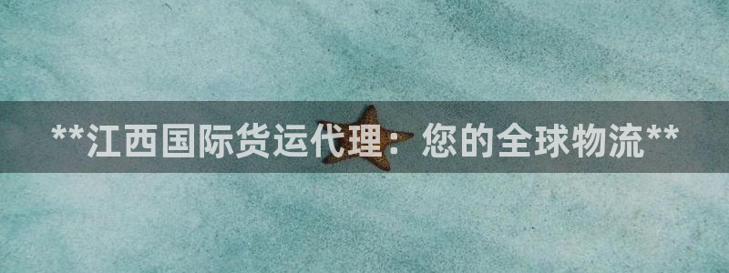 尊龙凯时代理：**江西国际货运代理：您的全球物流**