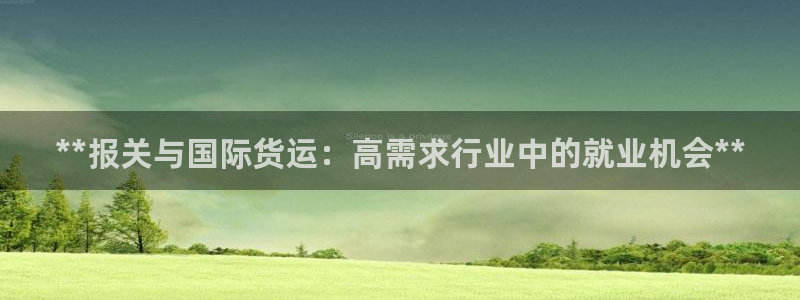尊龙t200：**报关与国际货运：高需求行业中的就业机会