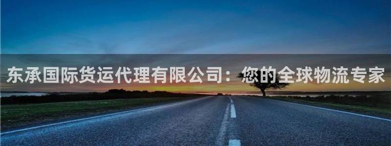 尊龙z6.con：东承国际货运代理有限公司：您的全球物流