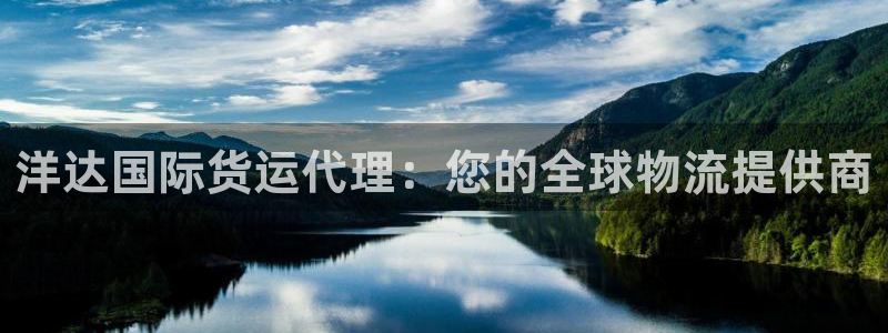 尊龙手机官方客户端下载安卓：洋达国际货运代理：您的全球物