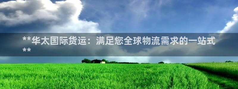 尊龙新版app首页：**华太国际货运：满足您全球物流需求