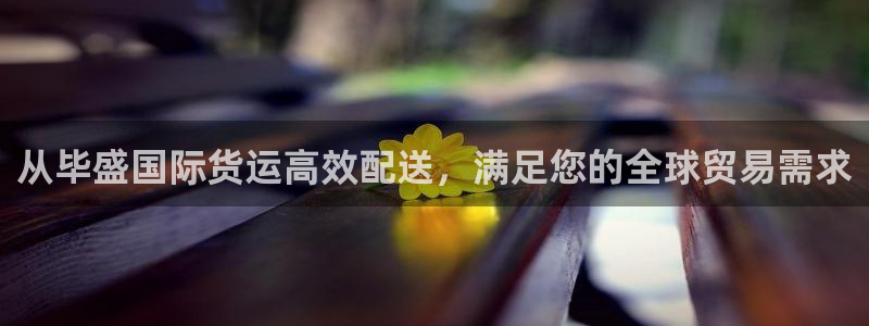 尊龙网站 人生就是博：从毕盛国际货运高效配送，满足您的全