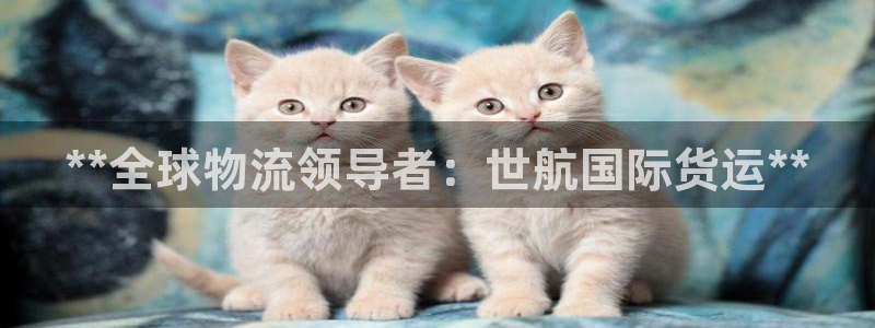 尊龙人生就是-首页：**全球物流领导者：世航国际货运**