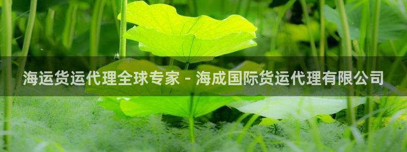 尊龙凯时-人生就是博中国官网最新：海运货运代理全球专家 