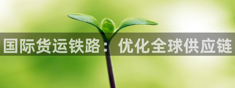 尊龙人生手机版都去ag发财网：国际货运铁路：优化全球供应