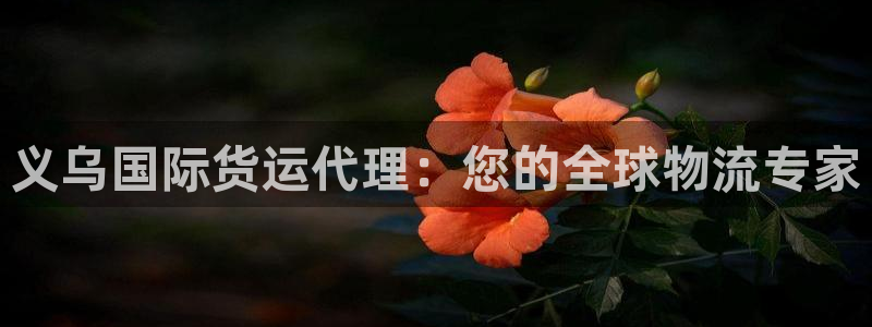 尊龙手机官方客户端下载安装：义乌国际货运代理：您的全球物