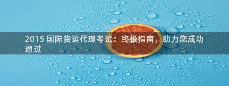 尊龙t500和t300区别：2015 国际货运代理考试：