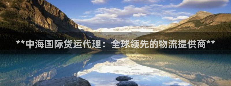 尊龙凯时和九游会哪个平台好一点：**中海国际货运代理：全