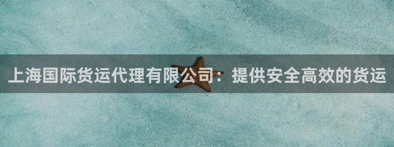 尊龙人生就是博i可靠吗：上海国际货运代理有限公司：提供安