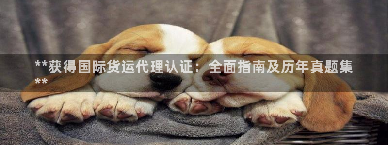 尊龙,人生就是博!登录国际：**获得国际货运代理认证：全