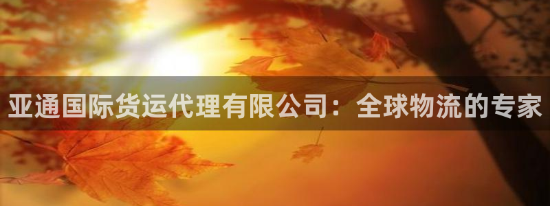 尊龙AG旗舰厅官网：亚通国际货运代理有限公司：全球物流的