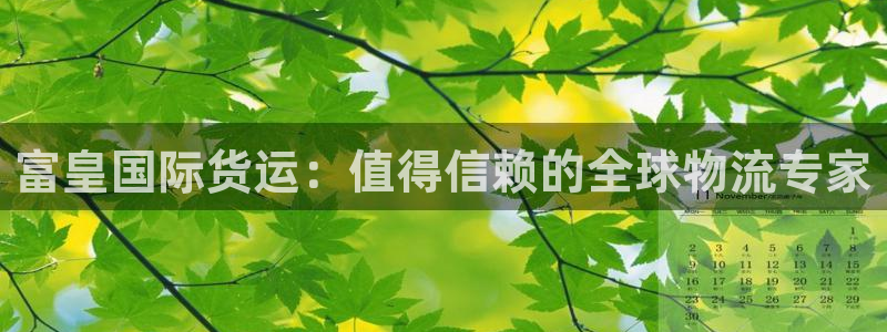 尊龙凯时麻将胡了：富皇国际货运：值得信赖的全球物流专家