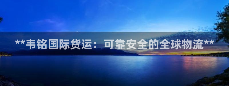尊龙凯时集团：**韦铭国际货运：可靠安全的全球物流**