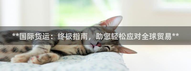 尊龙凯时论坛：**国际货运：终极指南，助您轻松应对全球贸