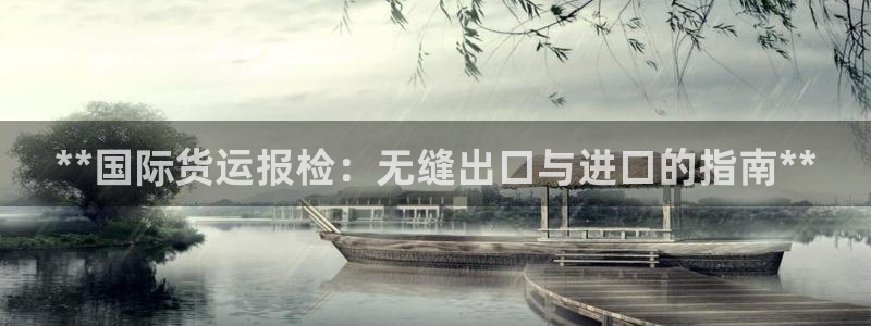 尊龙app登录不了：**国际货运报检：无缝出口与进口的指