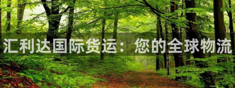 尊龙专访：汇利达国际货运：您的全球物流