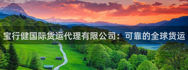 d88尊龙手机客户端下载：宝行健国际货运代理有限公司：可