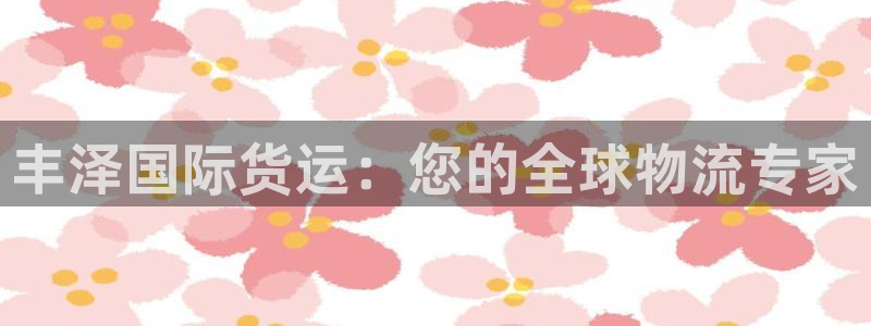 尊龙内地：丰泽国际货运：您的全球物流专家