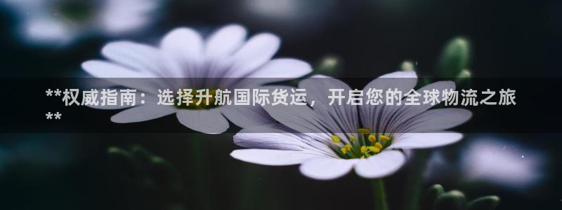 旧版尊龙人生就是博-ag旗舰平台尊龙|ag发财网来就送3