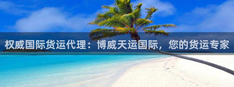 尊龙科技：权威国际货运代理：博威天运国际，您的货运专家