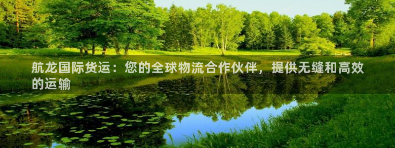 尊龙人生就是博下载：航龙国际货运：您的全球物流合作伙伴，