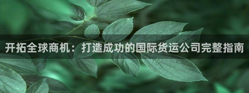 尊龙凯时平台信誉怎样：开拓全球商机：打造成功的国际货运公