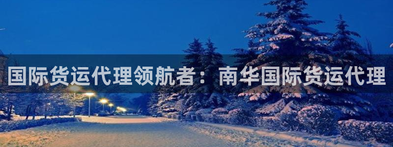 d88尊龙手机客户端下载：国际货运代理领航者：南华国际货