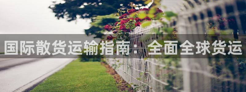尊龙实业：国际散货运输指南：全面全球货运