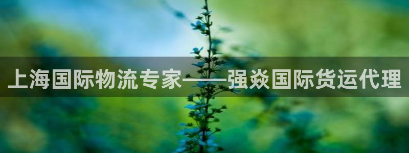 尊龙凯时用户名m：上海国际物流专家——强焱国际货运代理