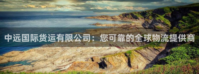 尊龙凯时平台信誉怎样：中远国际货运有限公司：您可靠的全球