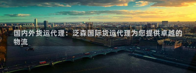尊龙官方身高：国内外货运代理：泛森国际货运代理为您提供卓