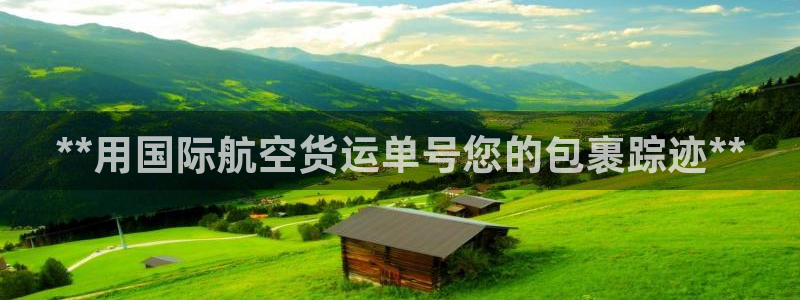 尊龙凯时请求参数不符合：**用国际航空货运单号您的包裹踪