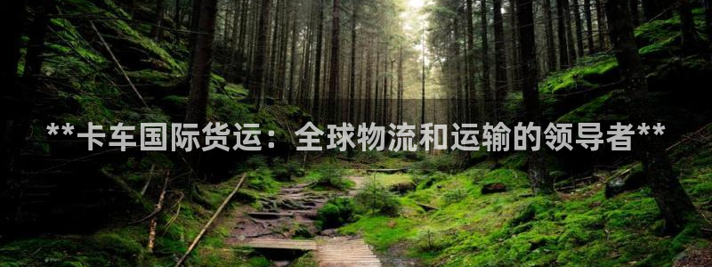 尊龙集团：**卡车国际货运：全球物流和运输的领导者**