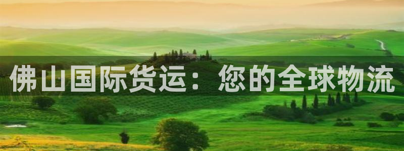 尊龙新版app：佛山国际货运：您的全球物流