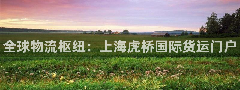 尊龙凯时注册：全球物流枢纽：上海虎桥国际货运门户