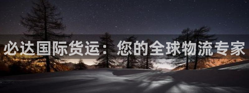 尊龙凯时人生就博官网：必达国际货运：您的全球物流专家