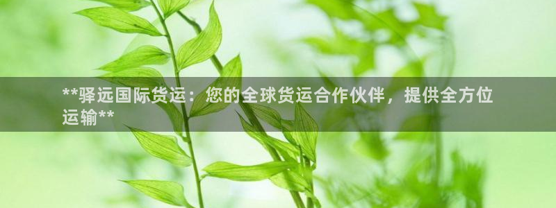 尊龙人生就是博手机版下载：**驿远国际货运：您的全球货运