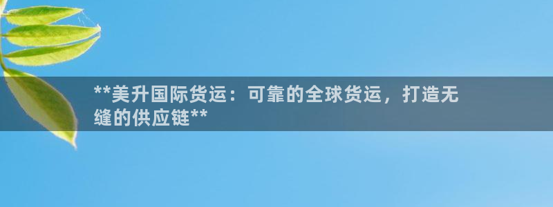 尊龙客服：**美升国际货运：可靠的全球货运，打造无
缝的