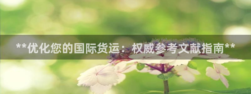 尊龙棋牌老板是谁：**优化您的国际货运：权威参考文献指南