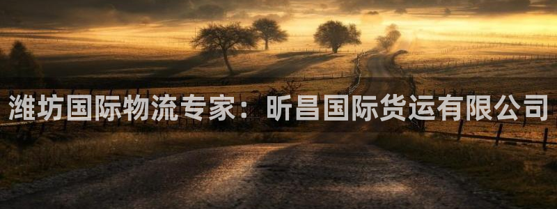 尊龙人生就是博登录网址下载：潍坊国际物流专家：昕昌国际货