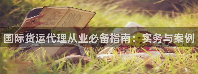 尊龙凯时充十万返现多少：国际货运代理从业必备指南：实务与