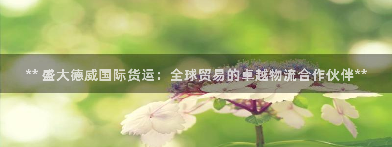 尊龙凯时app官方网站：** 盛大德威国际货运：全球贸易