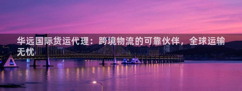 尊龙人生就是博电脑版：华远国际货运代理：跨境物流的可靠伙