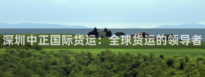 尊龙凯时 人生就是搏：深圳中正国际货运：全球货运的领导者