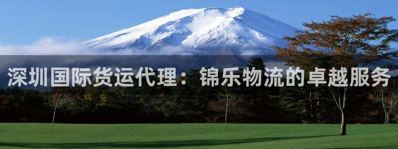 尊龙凯时有没有出不了款的情况：深圳国际货运代理：锦乐物流