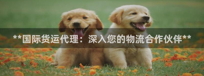 尊龙eight is enough：**国际货运代理：深