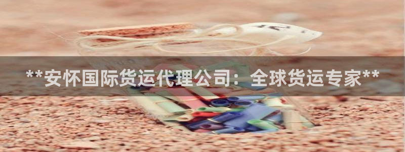 尊龙人生就是博官：**安怀国际货运代理公司：全球货运专家