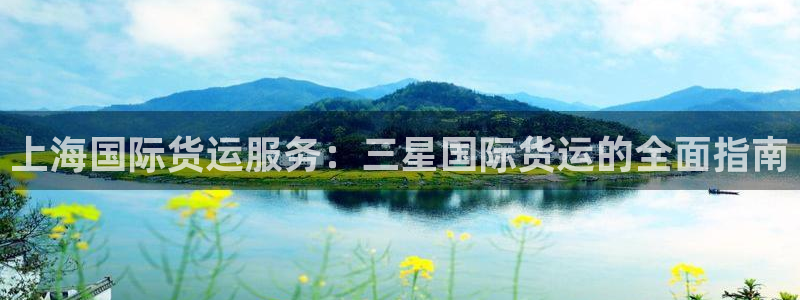 尊龙凯时是哪个国家的：上海国际货运服务：三星国际货运的全