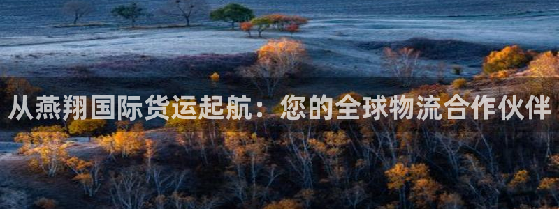 尊龙app登录不了：从燕翔国际货运起航：您的全球物流合作